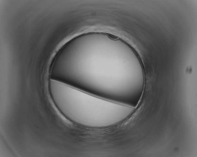 X0000097621525200802290808