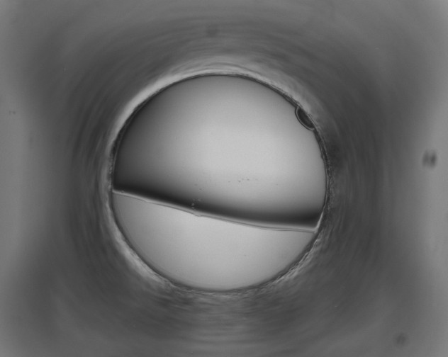 X0000097621526200802290808