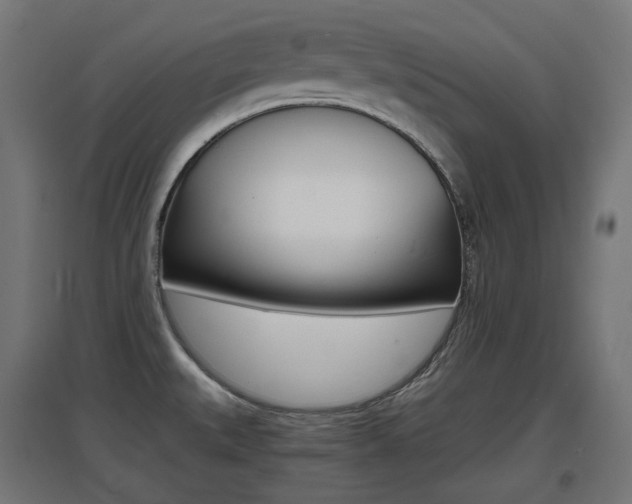 X0000097621527200802290808