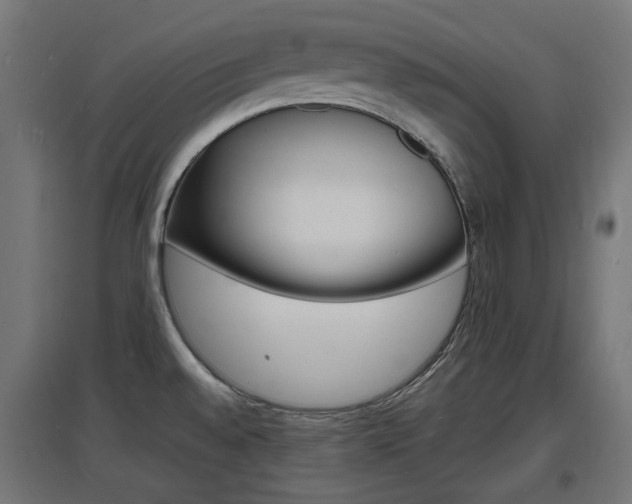 X0000097621528200802290808