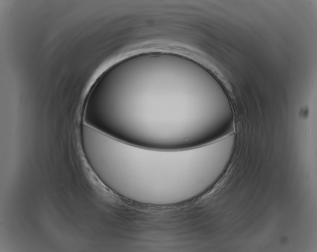 X0000097621530200802290808