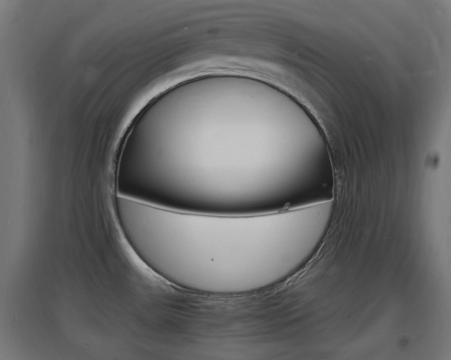 X0000097621531200802290808