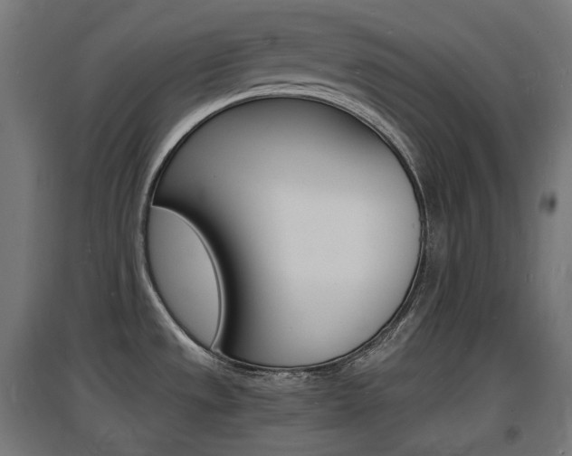 X0000097621533200802290808