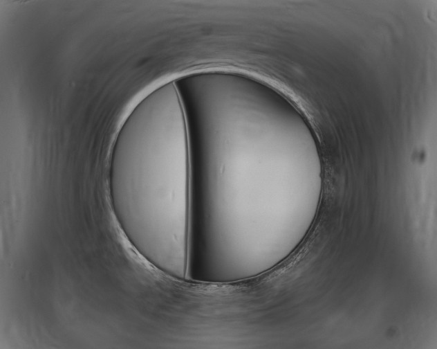 X0000097621534200802290808
