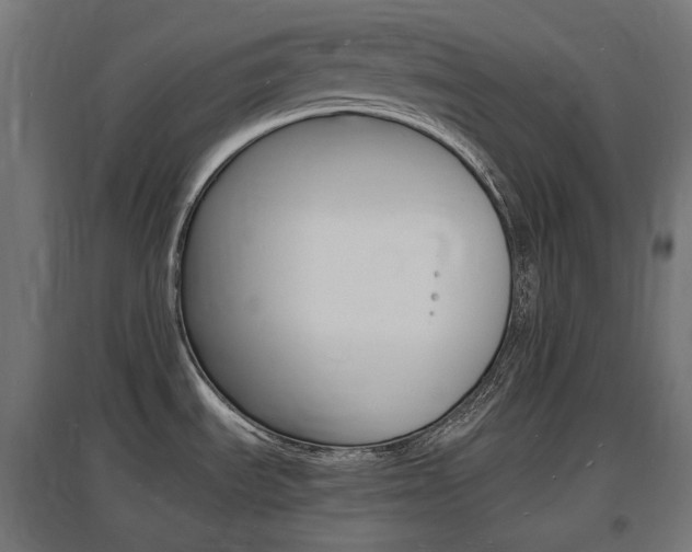 X0000097621535200802290808