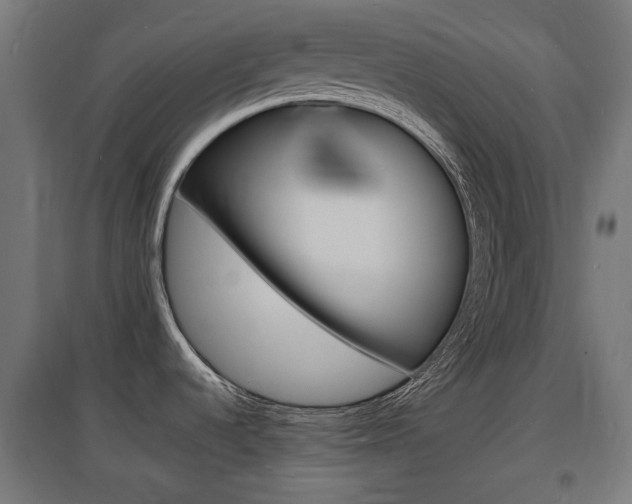 X0000097621536200802290808