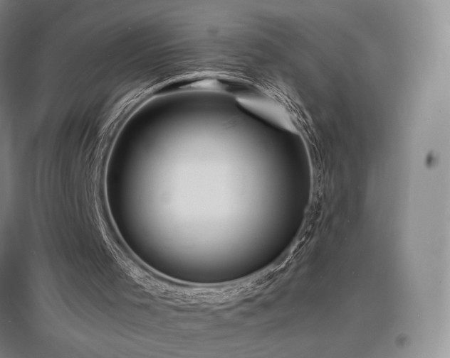 X0000097620001200802291337