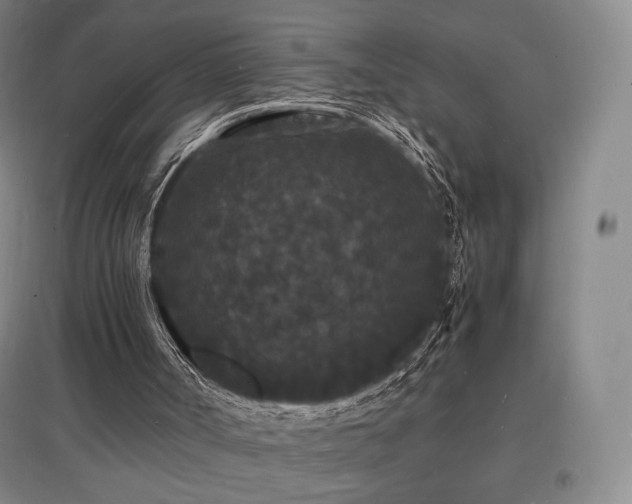 X0000097620002200802291337