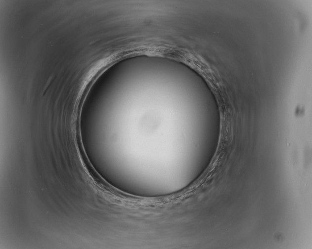 X0000097620003200802291337