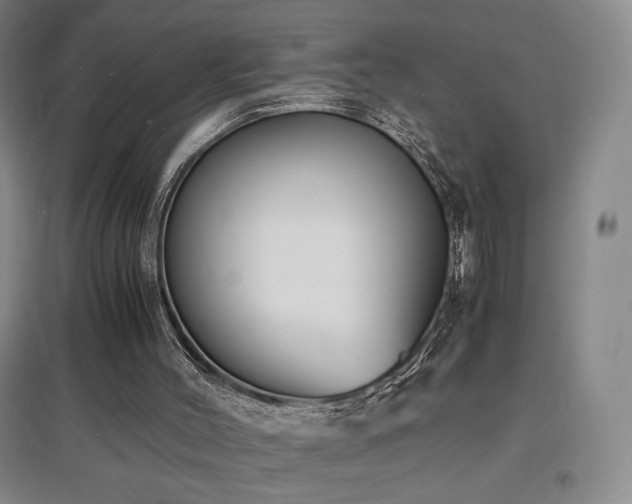 X0000097620004200802291337