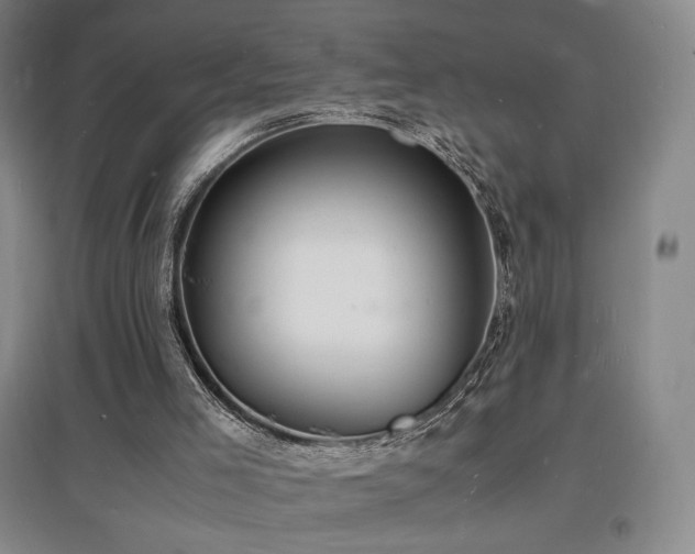 X0000097620005200802291337