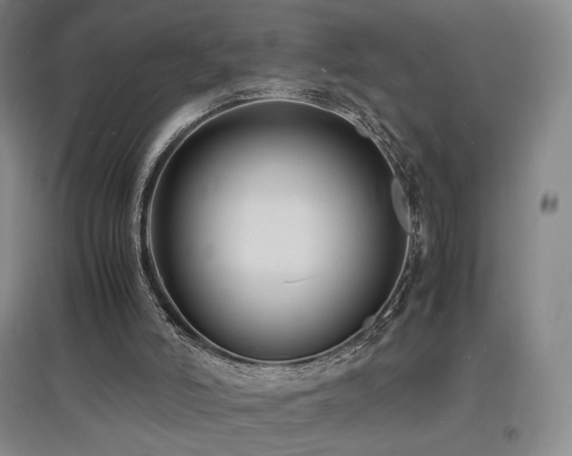 X0000097620006200802291337