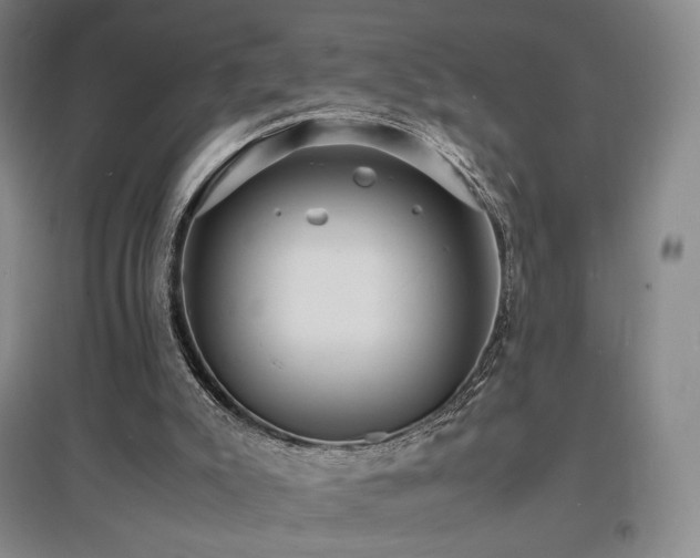 X0000097620007200802291337