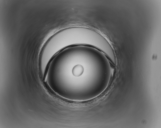 X0000097620008200802291337