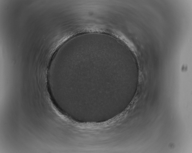 X0000097620009200802291337