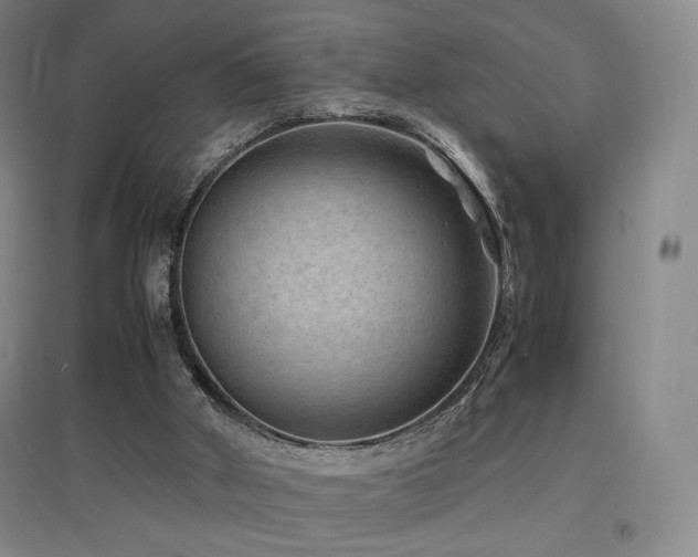 X0000097620010200802291337