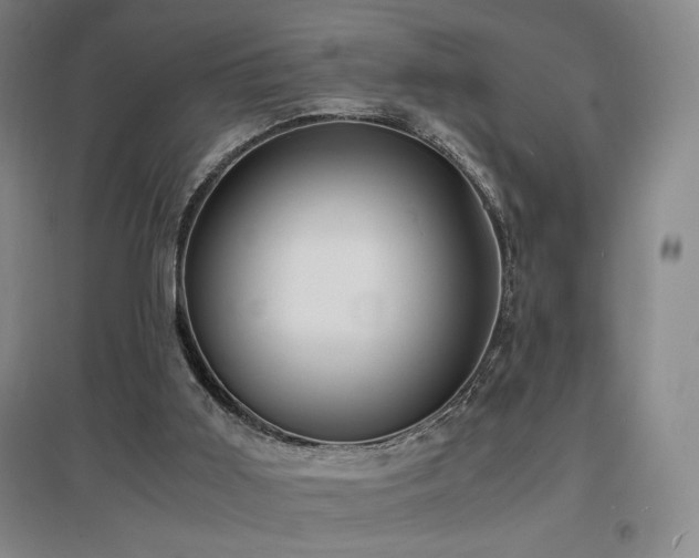 X0000097620011200802291337