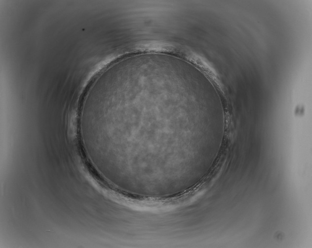X0000097620012200802291337