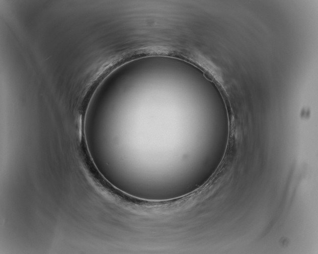 X0000097620013200802291337