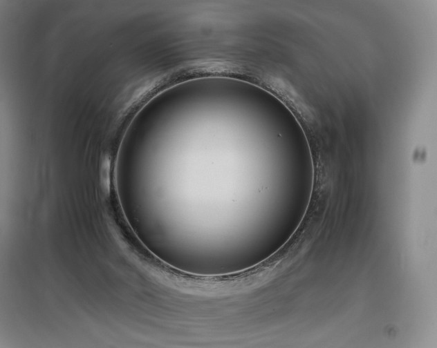 X0000097620014200802291337
