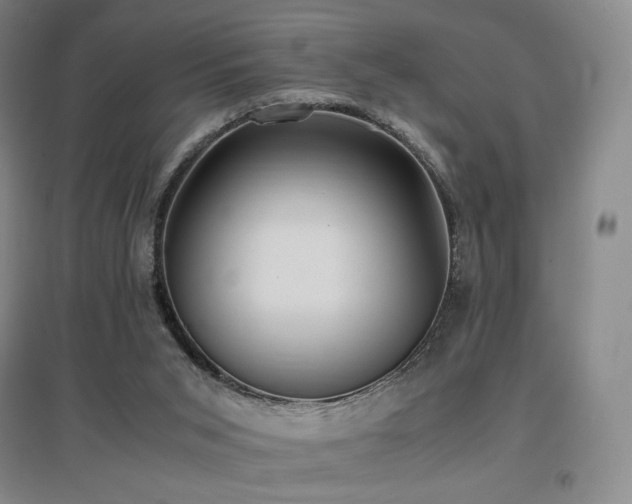 X0000097620015200802291337