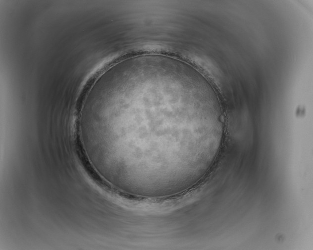 X0000097620016200802291337