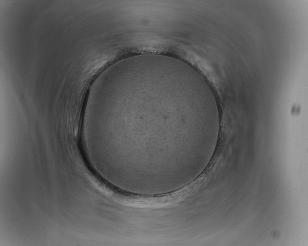 X0000097620017200802291337