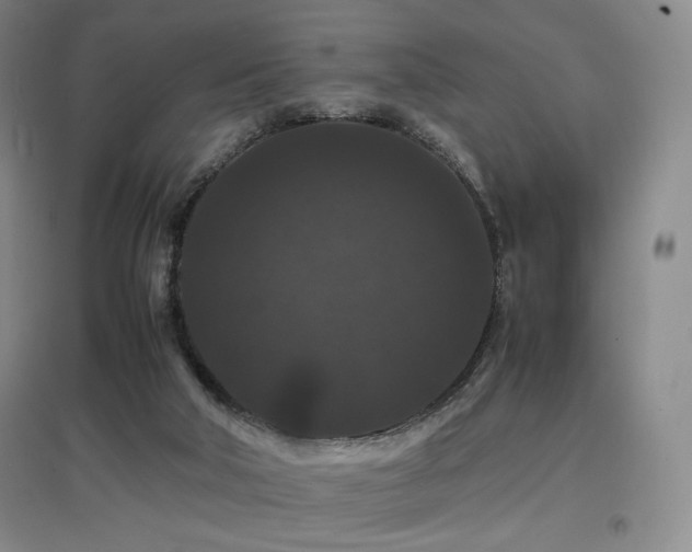 X0000097620018200802291337