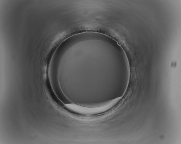 X0000097620019200802291337