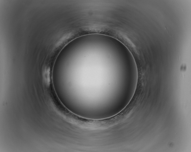 X0000097620020200802291337