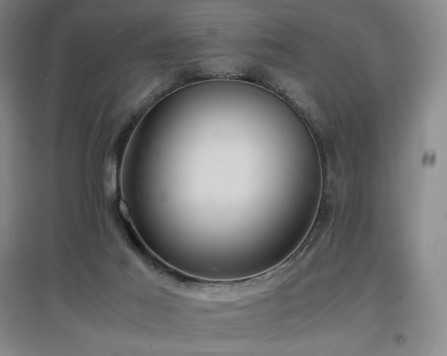 X0000097620021200802291337