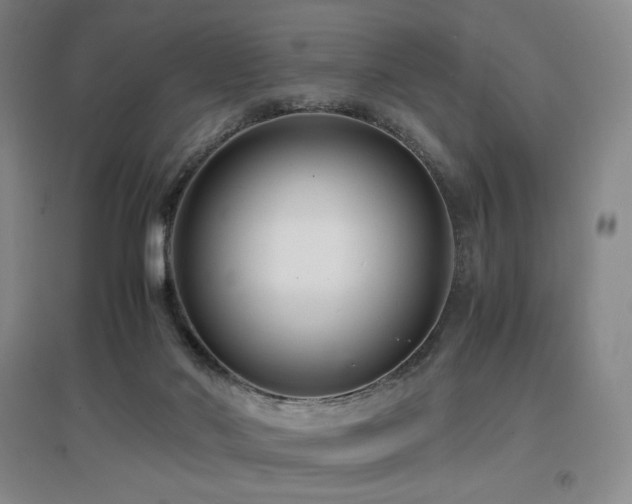 X0000097620022200802291337