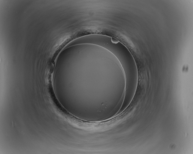 X0000097620023200802291336
