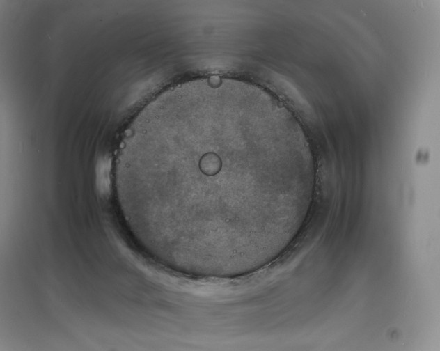X0000097620024200802291336