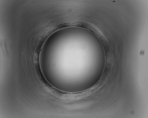 X0000097620025200802291336