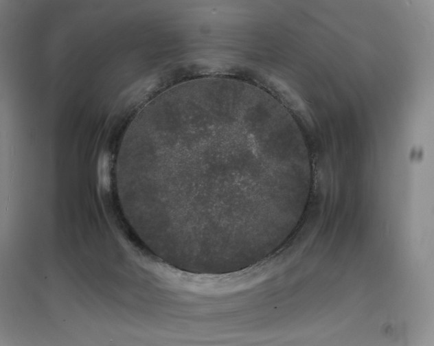 X0000097620026200802291336