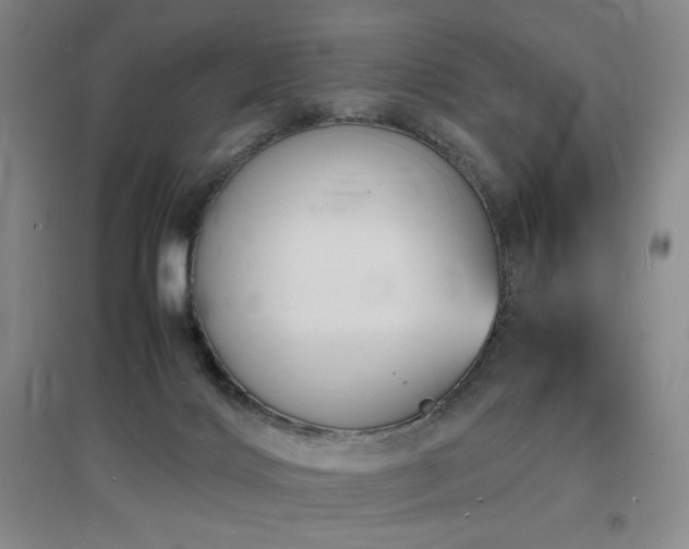 X0000097620028200802291336