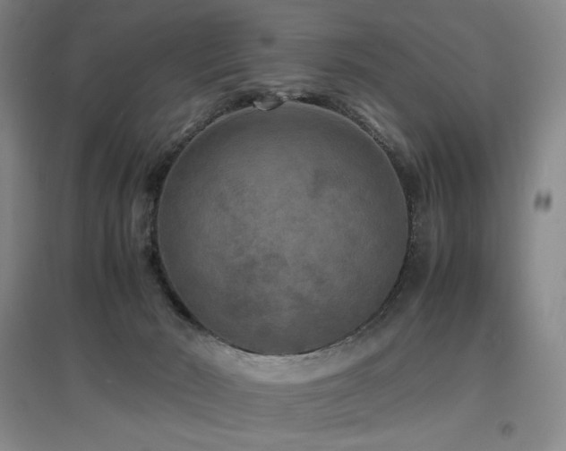 X0000097620030200802291336