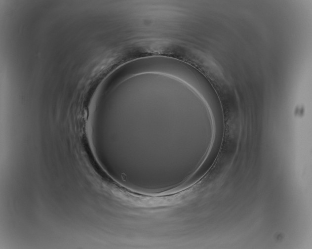 X0000097620031200802291336