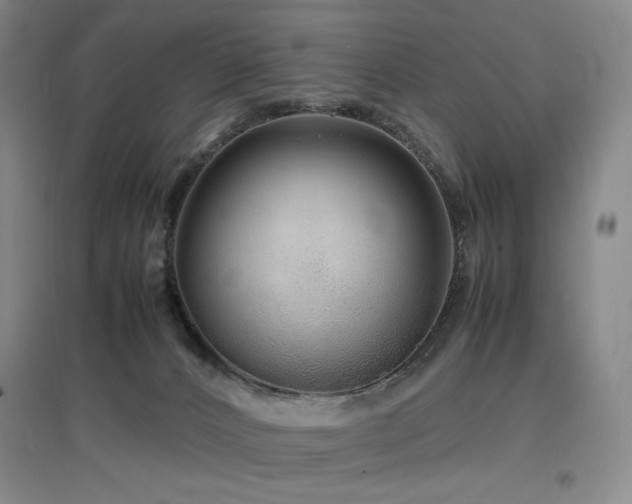 X0000097620032200802291336