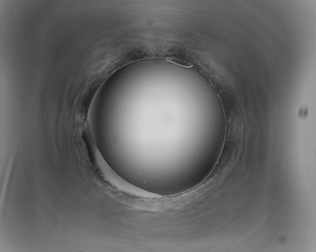 X0000097620033200802291336