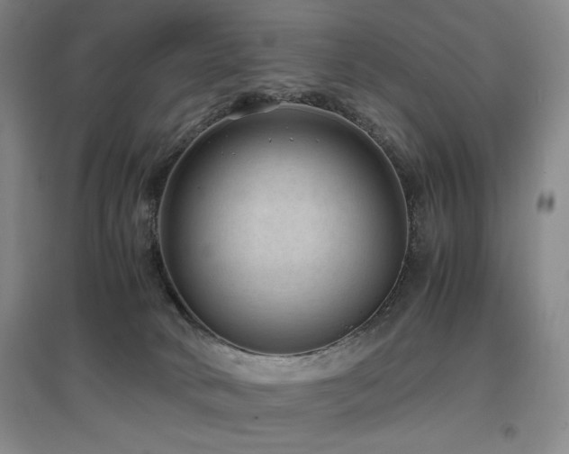 X0000097620034200802291336