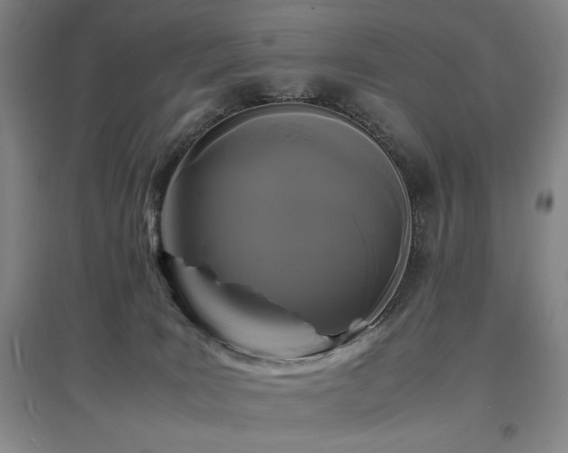 X0000097620035200802291336