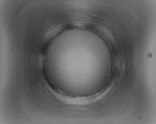 X0000097620036200802291336