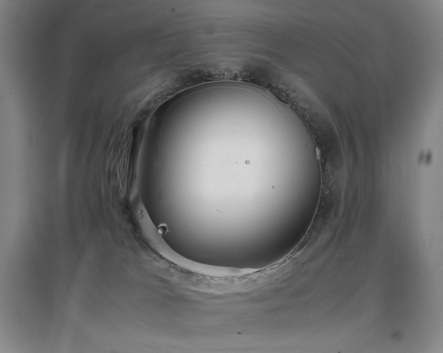 X0000097620037200802291336