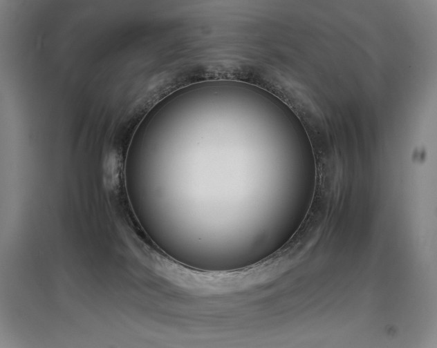 X0000097620038200802291336