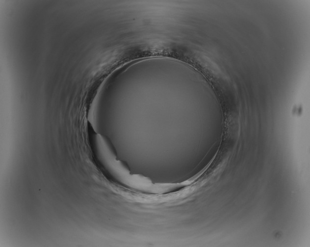 X0000097620039200802291336