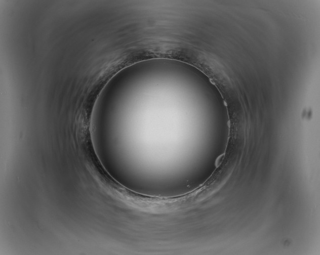 X0000097620040200802291336