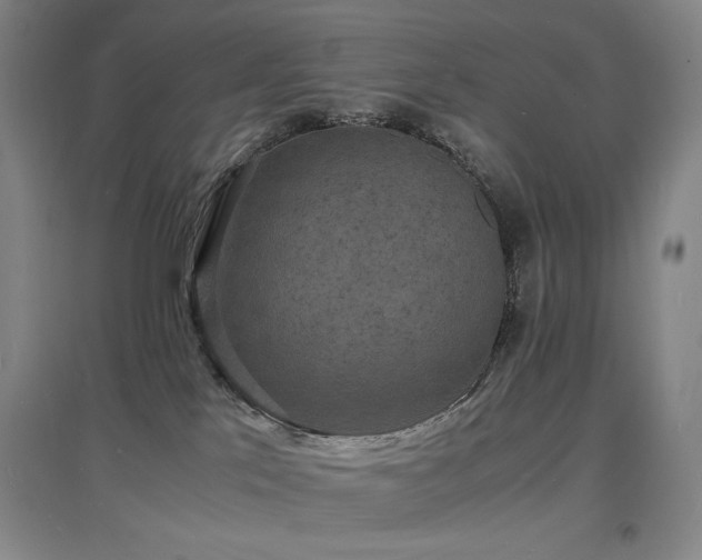 X0000097620041200802291336