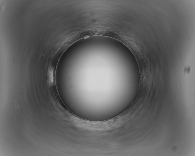 X0000097620042200802291336